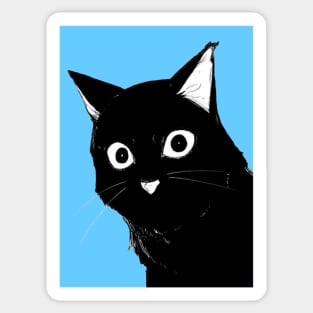 Black Kitten Sticker